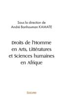 Droits de l'Homme en Arts, Littératures et Sciences humaines en Afrique (French Edition) 2414421932 Book Cover