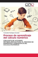 Proceso de aprendizaje del cálculo numérico 6202109378 Book Cover