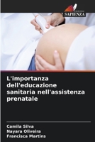 L'importanza dell'educazione sanitaria nell'assistenza prenatale 6207265246 Book Cover