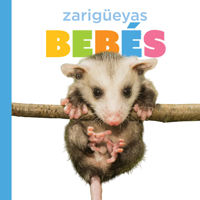 Zarigüeyas bebés (El principio de los) (Spanish Edition) B0HBPS3XRS Book Cover