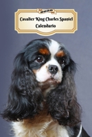2020 Cavalier King Charles Spaniel Calendario: 107 P�ginas Tama�o A5 Planificador Semanal 12 Meses 1 Semana en 2 P�ginas Agenda Semana Vista Tapa Blanda Perro 1708584870 Book Cover