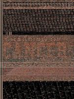 Coaching or Cancer: Its All about the Team 1489701834 Book Cover