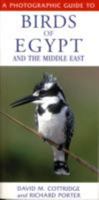 A Photographic Guide to Birds of Egypt and the Middle East 1859745121 Book Cover