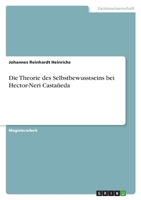 Die Theorie des Selbstbewusstseins bei Hector-Neri Casta�eda 3346484505 Book Cover