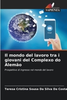 Il mondo del lavoro tra i giovani del Complexo do Alemão 6207258231 Book Cover