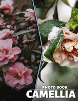 Camellia Photo Book: Stunning Floral Images Featuring Camellia Blooms For Nature Lovers and Garden Enthusiasts B0DPT86R8V Book Cover