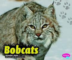 Bobcats 142964480X Book Cover