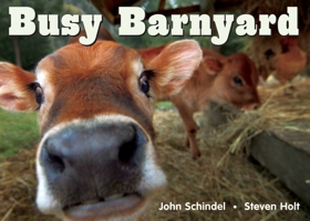 Busy Barnyard 1582461686 Book Cover