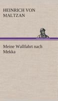 Meine Wallfahrt nach Mekka 384953121X Book Cover