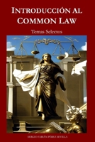 INTRODUCCION AL COMMON LAW: TEMAS SELECTOS (Spanish Edition) B0CHVZL9ZL Book Cover