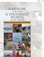 A Picture (Is Worth) a Thousand Words (More or Less) 1441524592 Book Cover