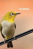 Journal: GISS birding Colorful Bullet Journal Dot Grid Daily Planner Student for notes on how to become an avian veterinarian 1691049530 Book Cover