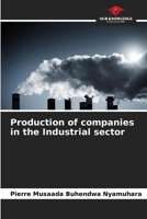 Production of companies in the Industrial sector 6206104893 Book Cover