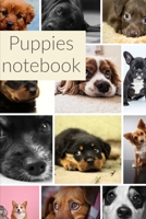 Puppies: notebook 1709168781 Book Cover