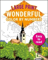 Large Print Color by Numbers Brilliant 1398809500 Book Cover