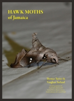 Hawk Moths of Jamaica 1039146082 Book Cover