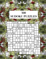 300 Sudoku Puzzles: Answers Included, Large Print, 8.5 x 11in, Paperback. B08TKD4HHZ Book Cover