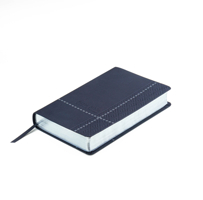 Rv-60 Biblia de Promesas - Tamao Manual- Edicin Negro Imitacin Piel 0789925532 Book Cover