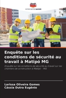 Enquête sur les conditions de sécurité au travail à Matipó MG (French Edition) 6208164028 Book Cover