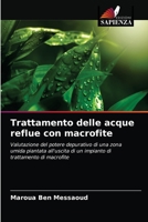Trattamento delle acque reflue con macrofite: Valutazione del potere depurativo di una zona umida piantata all'uscita di un impianto di trattamento di macrofite 620368161X Book Cover