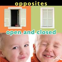 Opposites: Open and Closed 1604728167 Book Cover