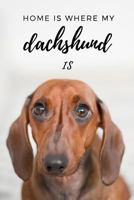 Home Is Where My Dachshund Is 1799229904 Book Cover