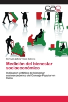 Medicion del Bienestar Socioeconomico 3659003492 Book Cover