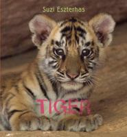 Tiger 1847805175 Book Cover