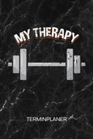 TERMINPLANER: Fitnesstherapeut Kalender Sporttherapeut Terminkalender - Sport Gesundheit Wochenplaner Sporttherapie Wochenplanung Bodybuilding ... To-Do Liste Termine (German Edition) 1672547083 Book Cover