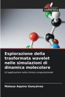 Esplorazione della trasformata wavelet nelle simulazioni di dinamica molecolare: Un'applicazione nella chimica computazionale 6205907313 Book Cover