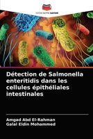 Détection de Salmonella enteritidis dans les cellules épithéliales intestinales 6204052136 Book Cover