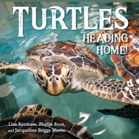 Turtles Heading Home! 1623545862 Book Cover