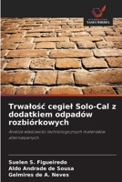 Trwalosc cegiel Solo-Cal z dodatkiem odpadów rozbiórkowych (Polish Edition) 6209467490 Book Cover