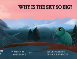 Why Is the Sky So Big? 0578811979 Book Cover