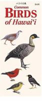 Common Birds of Hawaii (Hawaii Pocket Guides) (Hawaii Pocket Guides) 1573061824 Book Cover