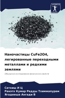 Наночастицы CuFe2O4, легированные переходными &#1084 6205666766 Book Cover