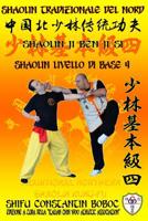 Shaolin Tradizionale del Nord Vol.4: Livello di Base - Dai Shi 3 179749130X Book Cover