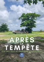 Après la tempête: État des lieux au lendemain de blessures... (French Edition) B0FJGD4JJR Book Cover