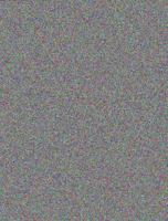 Clymer Yanmar: Diesel Inboard Shop Manual : One, Two & Three Cylinder Engines 0892877553 Book Cover