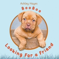 Booboo Looking for a Friend 164749110X Book Cover