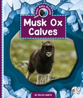 Musk Ox Calves 1503870839 Book Cover