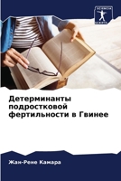 &#1044;&#1077;&#1090;&#1077;&#1088;&#1084;&#1080;&#1085;&#1072;&#1085;&#1090;&#1099; &#1087;&#1086;&#1076;&#1088;&#1086;&#1089;&#1090;&#1082;&#1086;&# 6207289234 Book Cover