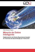 Mineria de Datos Inteligente 384548019X Book Cover