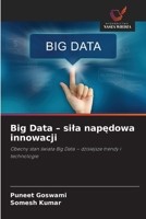 Big Data - sila napedowa innowacji (Polish Edition) 6139750636 Book Cover