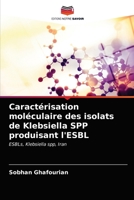 Caractérisation moléculaire des isolats de Klebsiella SPP produisant l'ESBL: ESBLs, Klebsiella spp, Iran 6202989246 Book Cover