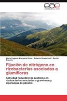 Fijación de nitrógeno en rizobacterias asociadas a glumifloras: Actividad reductora de acetileno en rizobacterias asociadas a gramíneas y ciperaceas de páramo 3846566993 Book Cover