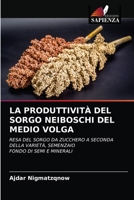 LA PRODUTTIVITÀ DEL SORGO NEIBOSCHI DELMEDIO VOLGA: RESA DEL SORGO DA ZUCCHERO A SECONDA DELLA VARIETÀ, SEMENZAIO FONDO DI SEMI E MINERALI 6202950439 Book Cover