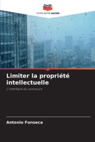 Limiter la propriété intellectuelle: L'interface du concours 6206216357 Book Cover