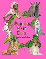 Puppies and Cats Coloring Pages for Kids: Give this fun Puppies & cats coloring book to your kids. They will have good times in coloring the ... stimulating their creativity and imagination. B093KGHZL3 Book Cover