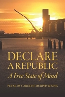 Declare a Republic: A Free State of Mind B08TFFNCYV Book Cover